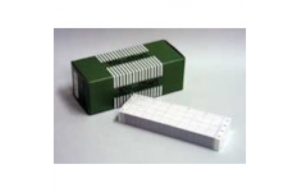 日本千野 CHINO EM303-EL系列記錄紙